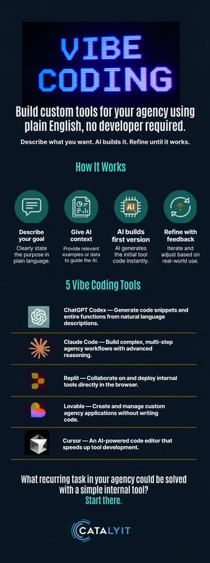 Vibe Coding  InfoGraphic (900 x 2400 px)