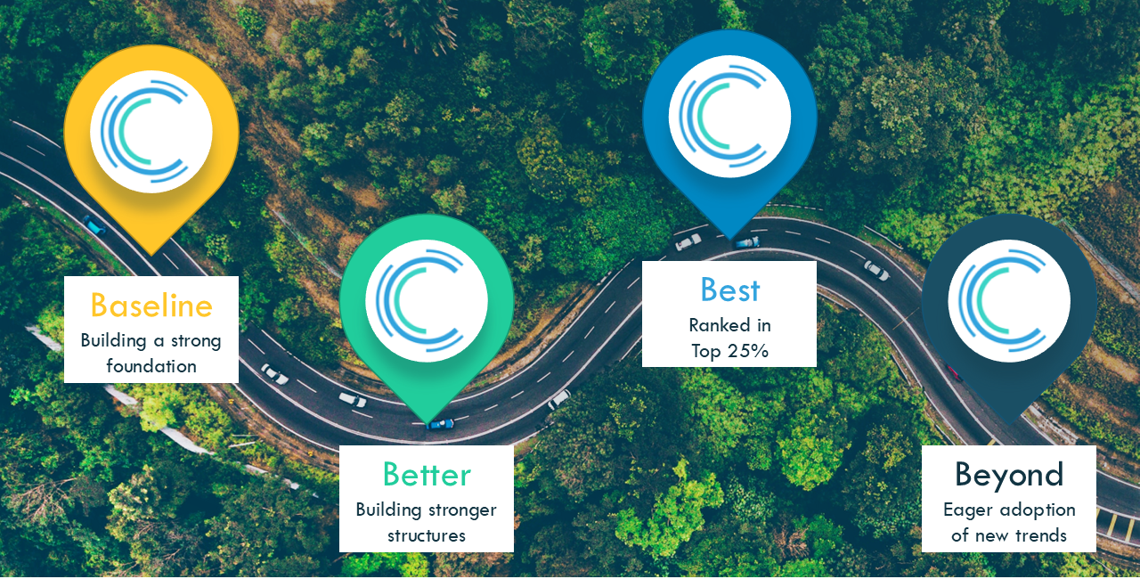 Catalyit Success Journey graphic