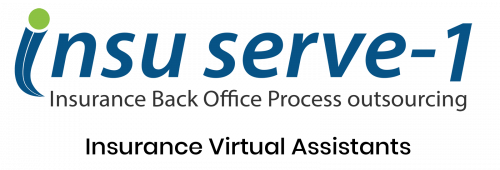 Insu serve-1 logo