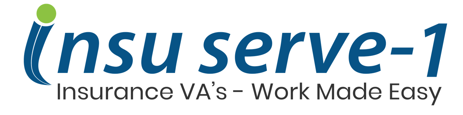 Insu serve-1