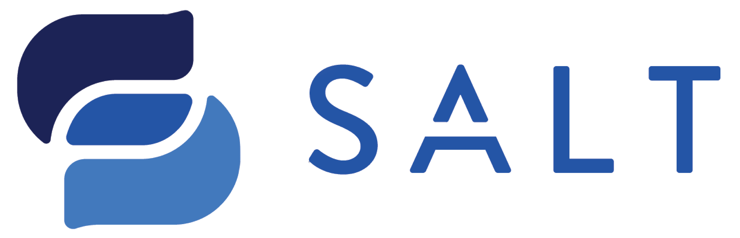 salt logo