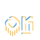 Big I OK icon white