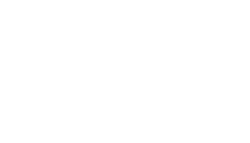 BigINYVerticalKO