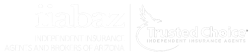 IIABAZ Logo White