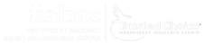 IIABAZ Logo White